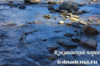 kak-vybrat-lesku