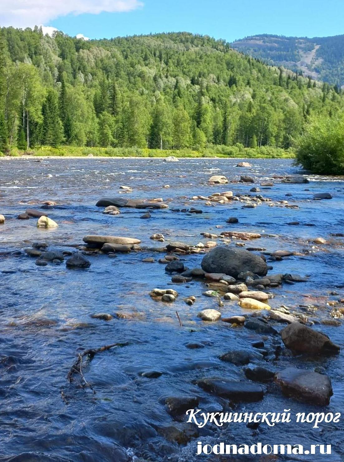 kak-vybirat-lesku